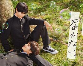 seo干什么工作好